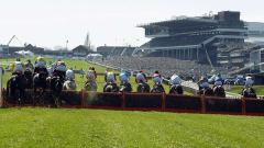 Horse racing at Cheltenham